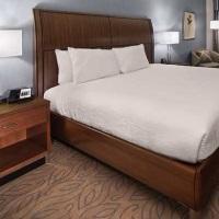 Hotel Hilton Garden Midtown
